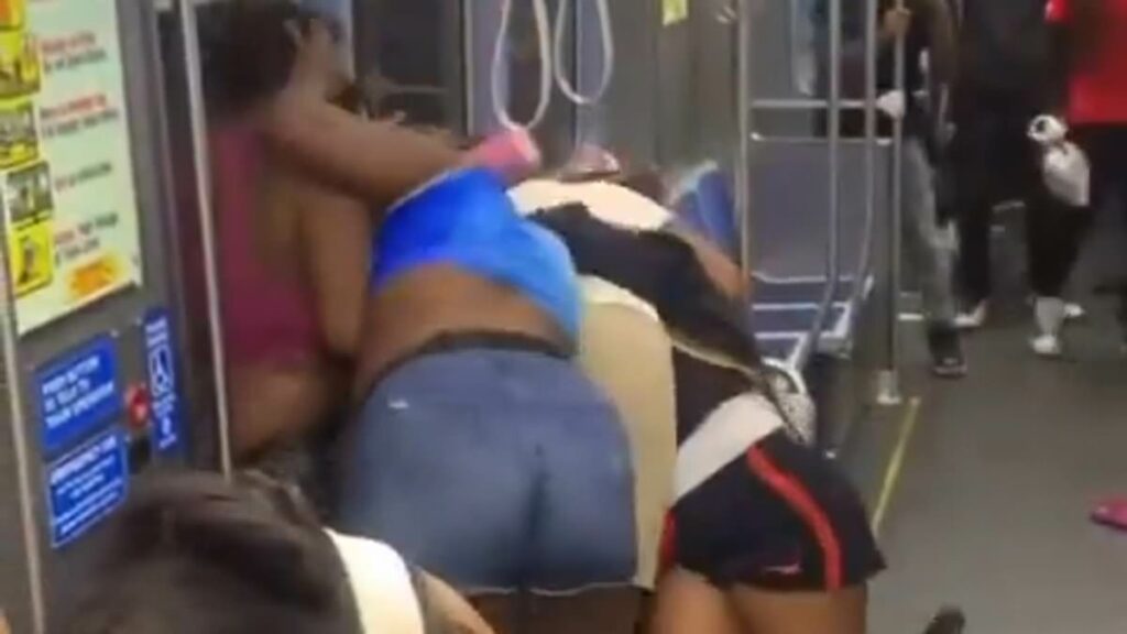 Huge catfight erupts along 'America's most dangerous subway line'