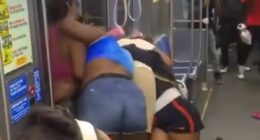 Huge catfight erupts along 'America's most dangerous subway line'
