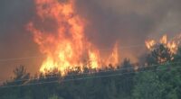 Smoke rising from a forest fire.