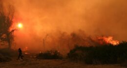 Firefighter battling a large forest fire.