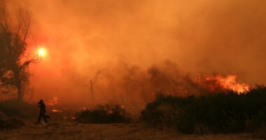 Firefighter battling a large forest fire.