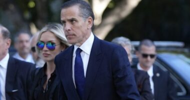 Hunter Biden hits back at Jake Tapper over 'chief of staff' allegations  