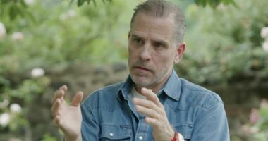 Hunter Biden says Joe's use of Ambien fueled his disastrous debate