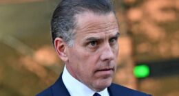 Hunter Biden takes strongest aim at Kamala Harris yet