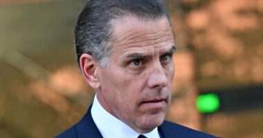 Hunter Biden takes strongest aim at Kamala Harris yet