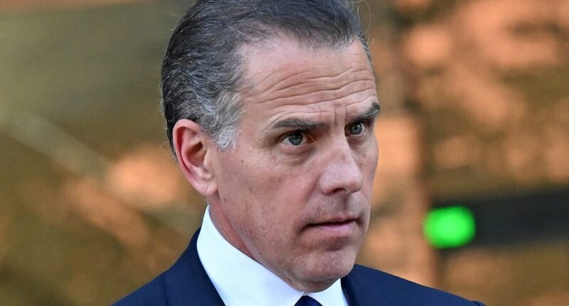 Hunter Biden takes strongest aim at Kamala Harris yet