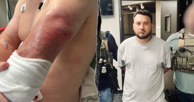 ICE agent dragged for nearly a block by Honduran migrant attempting to escape federal custody: authorities