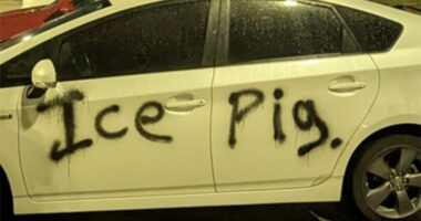 ICE agents targeted in 2 ambush attacks in recent days