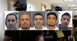 ICE arrests over 200 illegal alien child sex offenders in Houston area in past 6 months