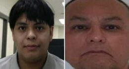 ICE deports illegal migrant convicted of impregnating niece, arrests another accused of raping child