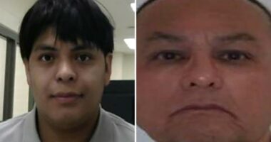 ICE deports illegal migrant convicted of impregnating niece, arrests another accused of raping child