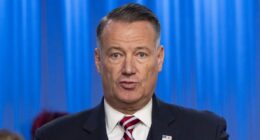 ICE head says agency to crack down on American companies hiring unauthorized workers