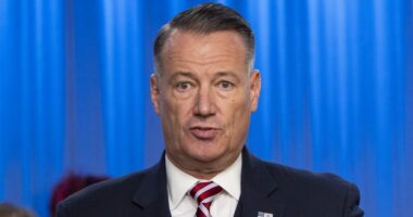 ICE head says agency to crack down on American companies hiring unauthorized workers