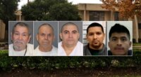 ICE in Houston releases new details about arrested illegal child sex offenders