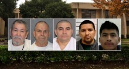 ICE in Houston releases new details about arrested illegal child sex offenders