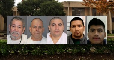 ICE in Houston releases new details about arrested illegal child sex offenders