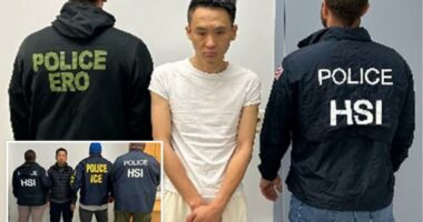 ICE nabs 'dirtbag' Chinese illegal immigrants preying on elderly New Yorkers