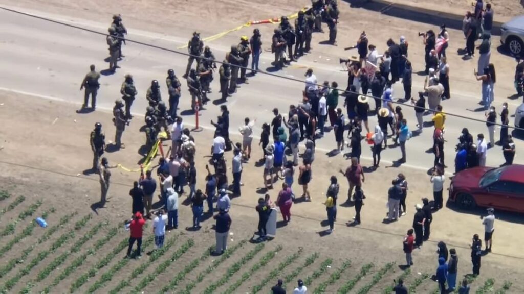 ICE protester opens fire on agents at California cannabis farm clash