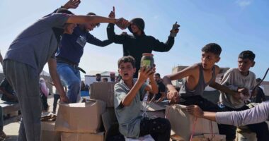 IDF to resume aid airdrops in Gaza