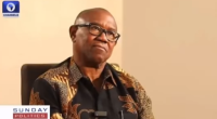 ?I?m going to contest for the President of the Federal Republic of Nigeria, and I believe I am qualified for it.? - Peter Obi