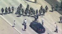 Immigration operation at California cannabis farms leads to clash between federal agents and protesters