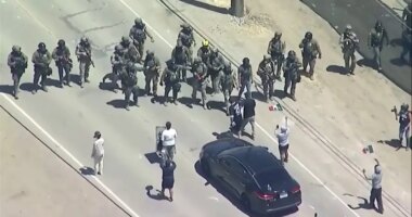 Immigration operation at California cannabis farms leads to clash between federal agents and protesters