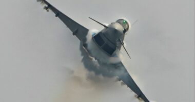 Photo of a seagull colliding with a Eurofighter jet.