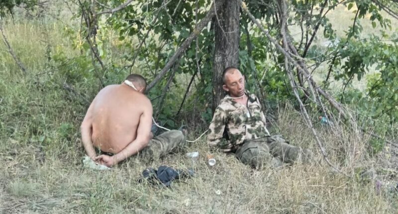 Two bound men sitting under a tree.