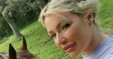 Inside one mother's 19-day nightmare with British au pair