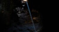Bats in Tinshemet Cave, Israel.
