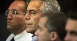 It's no surprise the Trump DOJ confirmed Jeffrey Epstein killed himself — the twisted financier had lost everything