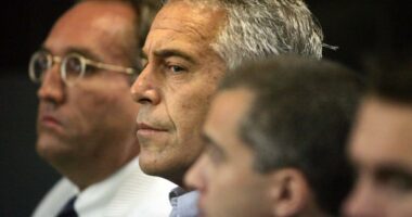 It's no surprise the Trump DOJ confirmed Jeffrey Epstein killed himself — the twisted financier had lost everything