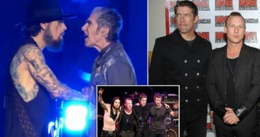 Jane's Addiction suing Perry Farrell for $10M over onstage brawl