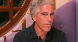 Jeffrey Epstein committed suicide but ‘likely’ had help, former lawyer claims