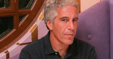 Jeffrey Epstein committed suicide but ‘likely’ had help, former lawyer claims
