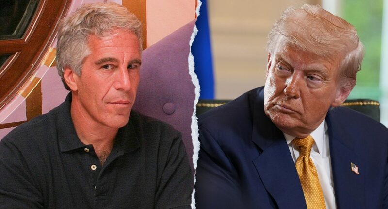 Jeffrey Epstein 'stole' Virginia Giuffre, other employees from Mar-a-Lago spa: Trump