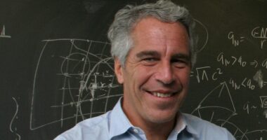 Jeffrey Epstein's brother laughs at 'stupid' FBI memo defending controversial suicide ruling: report