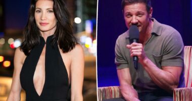 Jeremy Renner on his ex-wife's allegation that he threatened to kill her