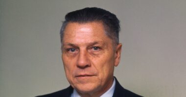 Portrait of James R. Hoffa after his release from prison.