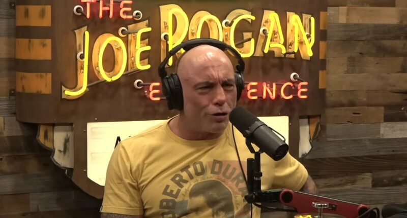 Joe Rogan goes ballistic on Trump's handling of Epstein files