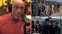 Joe Rogan said ICE roundups of illegal immigrant workers are 'insane'