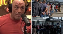 Joe Rogan said ICE roundups of illegal immigrant workers are 'insane'