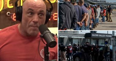 Joe Rogan said ICE roundups of illegal immigrant workers are 'insane'