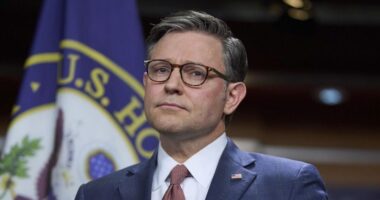 Johnson calls Massie, Khanna Epstein files effort ‘reckless’
