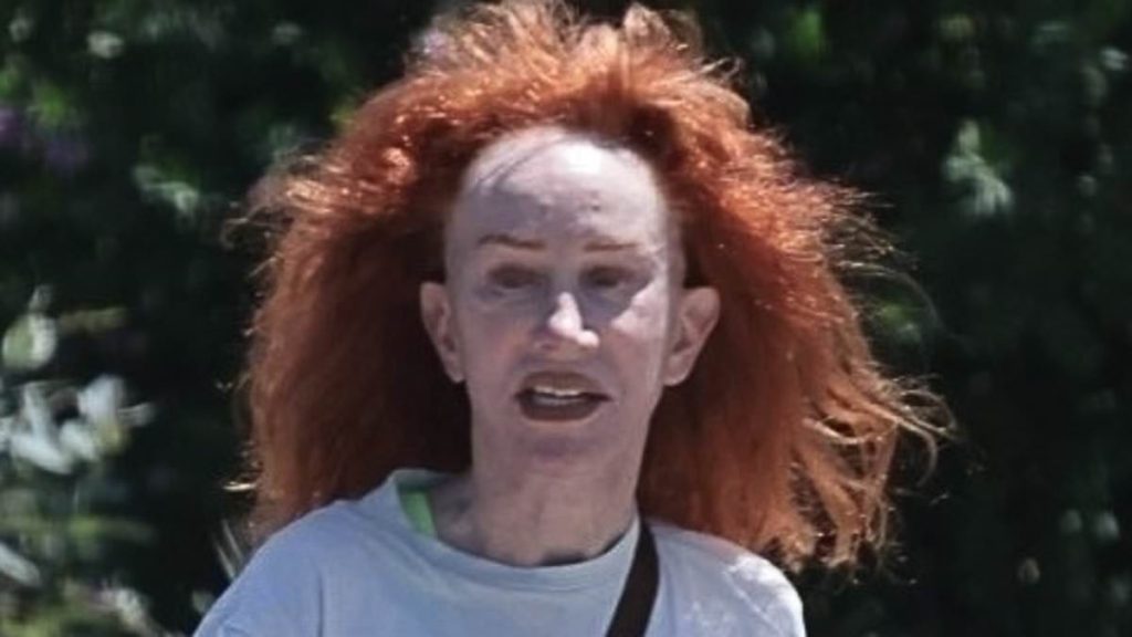 Kathy Griffin looks unrecognizable as she steps out in LA