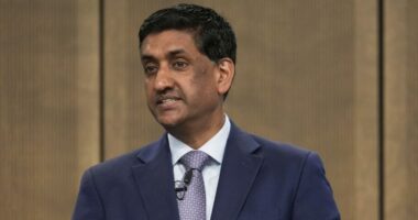 Khanna: Speaker Johnson knows Epstein resolution would pass