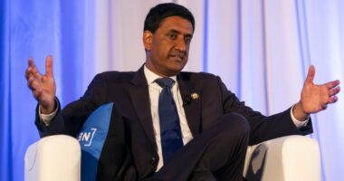 Khanna planning to subpoena Epstein estate for 'birthday book'