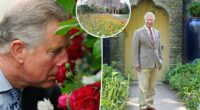 King Charles sees 11 of his 12 'overwhelmed and underpaid' gardeners quit Highgrove over demands