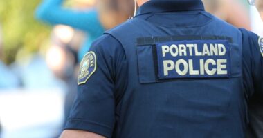 Knife attack at massive Portland rave leaves four teenagers wounded