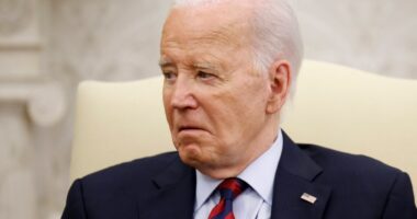 President Biden in the Oval Office.